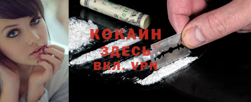 Cocaine FishScale  MEGA онион  Константиновск 